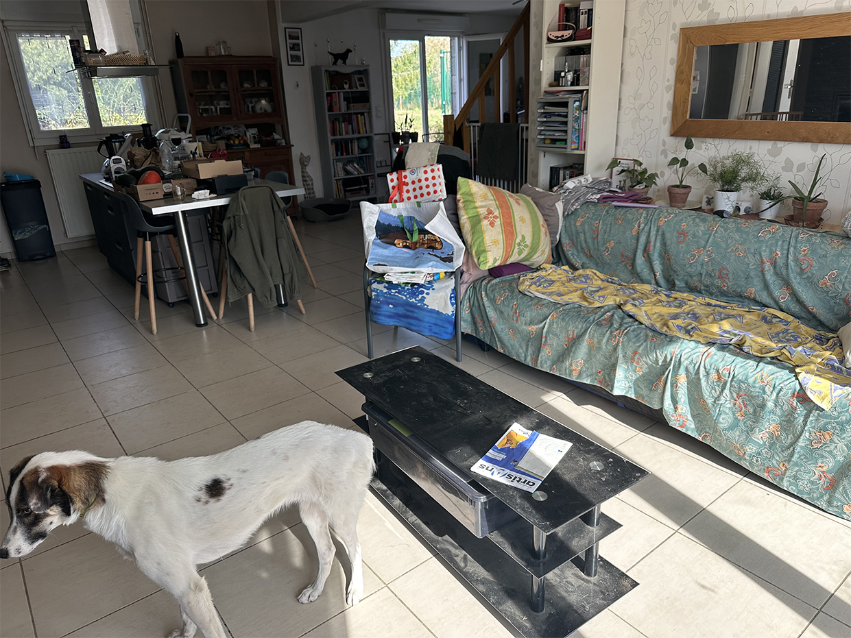 Pension pour votre chien - Le Monde de Sultan
